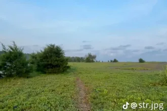 Sabana Cemara Sewu menjadi alternatif berwisata selain Pantai Bunton ketika berkunjung ke Desa Wisata Bunton, Adipala, Cilacap. (Foto: TikTok @str.jpg)