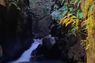 Panorama Curug Tonjong Panto yang berada di Desa Wisata Sadahayu, Kecamatan Majenang, Cilacap. (Foto: TikTok @wisata.sadahayu)