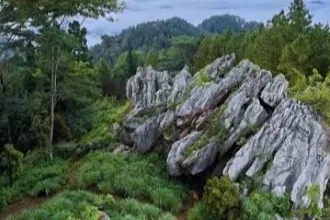 Karang Gemantung, Curug Sikopel, Curug Pitu, dan Kalianget Mangunan menjadi pilihan wisata alam Banjarnegara dengan karakter lanskap yang berbeda dan menarik dijelajahi.