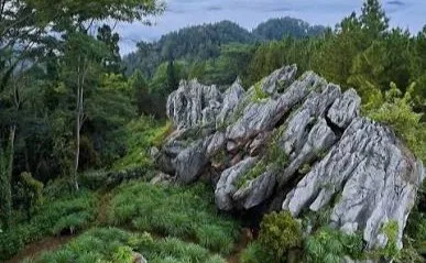 Karang Gemantung, Curug Sikopel, Curug Pitu, dan Kalianget Mangunan menjadi pilihan wisata alam Banjarnegara dengan karakter lanskap yang berbeda dan menarik dijelajahi.