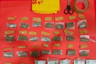 Barang bukti narkotika jenis ganja dan obat keras daftar G yang diamankan Satuan Reserse Narkoba Polresta Banyumas dari wilayah Kecamatan Ajibarang.(Dok Polresta Banyumas)