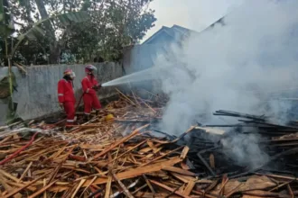 Kayu