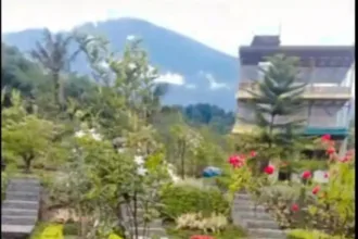 Taman Bougenville di Desa Karangsalam, Baturraden. (Foto: Tangkapan layar TikTok @taman.bougenville2)