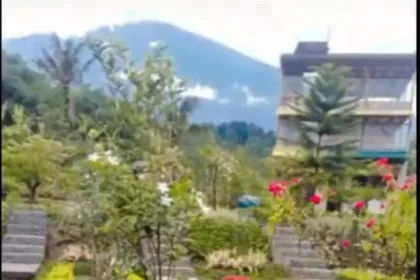 Taman Bougenville di Desa Karangsalam, Baturraden. (Foto: Tangkapan layar TikTok @taman.bougenville2)