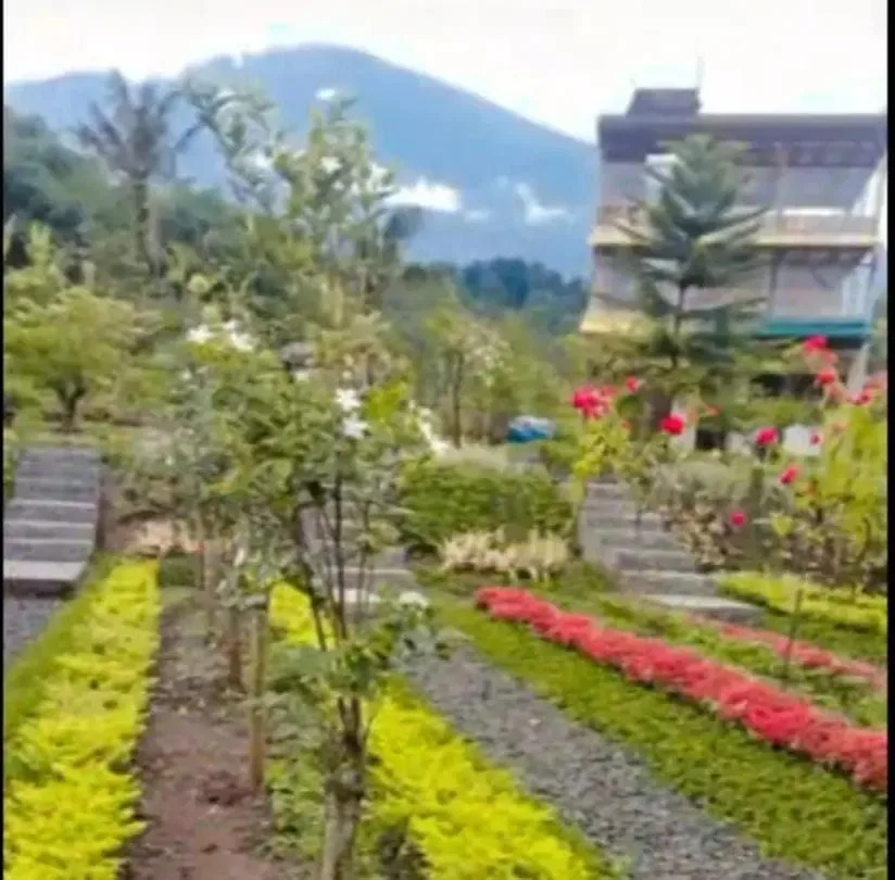 Taman Bougenville di Desa Karangsalam, Baturraden. (Foto: Tangkapan layar TikTok @taman.bougenville2)