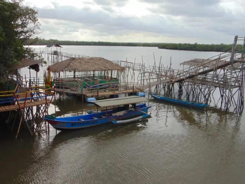 Wisata Hutan Payau Cilacap yang sudah dirintis sejak tahun 1978. (Foto: visitjawatengah.jatengprov.go.id)