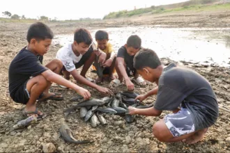 Tumpukan bangkai ikan bikin Pati bau