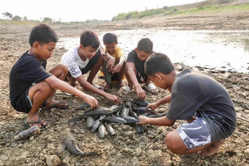 Tumpukan bangkai ikan bikin Pati bau