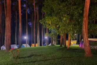 Kemit Forest jadi salah satu destinasi wisata di Kabupaten Cilacap. (Foto: Instagram @kemitforest_official)