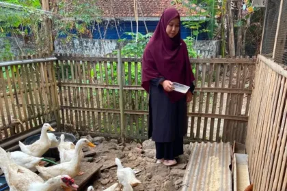 Windi saat memberi pakan ternaknya menggunakan campuran sampah dapur organik dan campuran lainnya. (Foto: Dok Mercusuarnews.co)