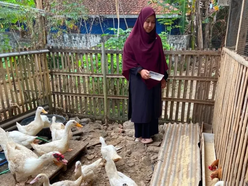 Windi saat memberi pakan ternaknya menggunakan campuran sampah dapur organik dan campuran lainnya. (Foto: Dok Mercusuarnews.co)