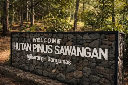 Hutan Pinus Sawangan di Ajibarang, menjadi salah satu rekomendasi spot ngopi. (Sumber: TikTok @hutanpinussawangan)