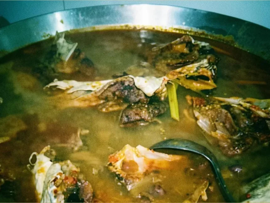 Brekecek Pathak Jahan merupakan kuliner khas Cilacap. (Sumber: Editing TikTok @ykrasa)