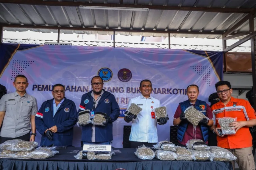 Badan Narkotika Nasional (BNN) memusnahkan barang bukti narkotika jenis ganja seberat 14.616,5 gram atau sekitar 14,6 kilogram.(Foto: BNN.go.id)