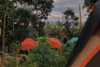 Daftar wisata yang bisa menjadi rekomendasi camp area asyik di Cilacap. (Foto: TikTok @kampoeng_kopi_sugara)