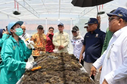 Inovasi unit pengering rumput laut Surya-Biomassa rancangan tim peneliti Universitas Diponegoro (Undip), proses pengeringan yang biasanya memakan waktu hingga 18 jam secara tradisional kini pangkas menjadi hanya 8 jam.(Foto: Humas Dinkominfotik Brebes)