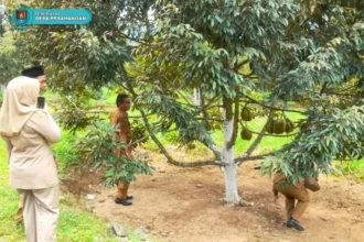 Wisata petik durian menjadi magnet tersendiri bagi wisatawan ketika berlibur ke Desa Wisata Pesahangan, Kecamatan Cimanggu, Cilacap. (Foto: pesahangan-cimanggu.cilacapkab.go.id)