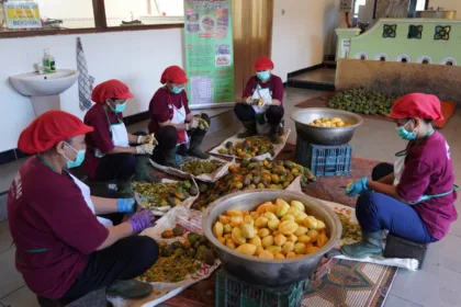 GI Tourism Dieng hadir sebagai ekosistem terpadu yang menghubungkan perlindungan kekayaan intelektual dengan pengembangan sektor pariwisata daerah.(Foto: dgip.go.id)