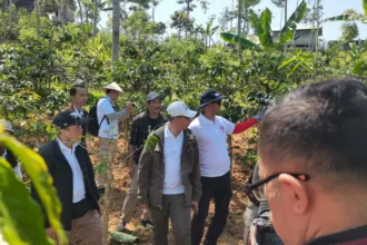 Dieng Banjarnegara disiapkan menjadi wisata berbasis pengalaman melalui GI Tourism. Wisatawan bisa melihat proses kopi, carica, purwaceng hingga bertemu petani.