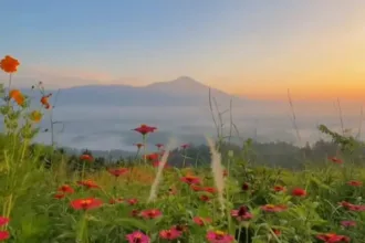 Pemandangan "Golden Hour" 360 derajat di Bukit Jatisewit, Cilongok, Banyumas. (Foto: TikTok @bukit.jatisewit)
