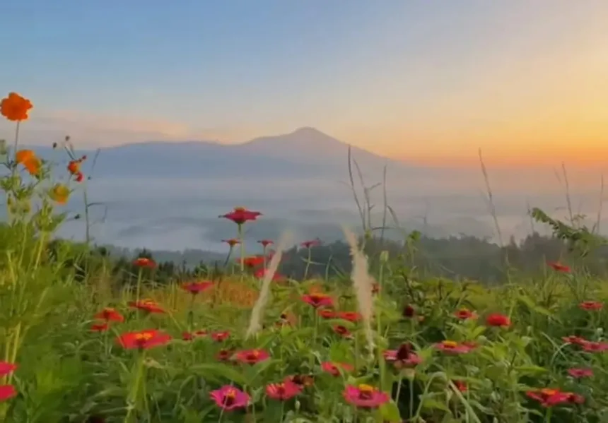 Pemandangan "Golden Hour" 360 derajat di Bukit Jatisewit, Cilongok, Banyumas. (Foto: TikTok @bukit.jatisewit)