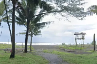 Pemandangan akses jalan pedesaan yang asri menuju kawasan Pantai Wagir Indah di Kecamatan Adipala, Cilacap. (Foto: Google Street View)