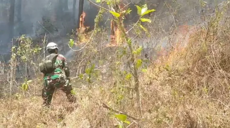 Petugas saat berusaha memadamkan api yang membakar lahan di wilayah Kecamatan Mandiraja.